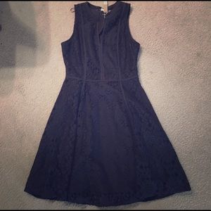 LC Lauren Conrad Navy Lace Dress